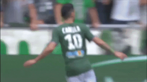 celebration goal GIF by AS Saint-Etienne