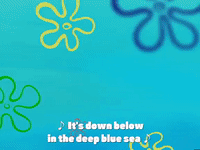 season 3 GIF by SpongeBob SquarePants