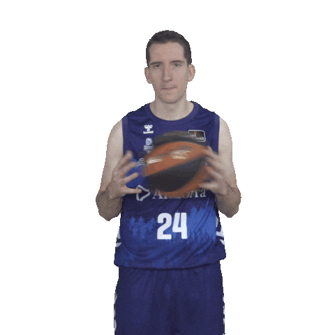 Liga Endesa Sport Sticker by ACB