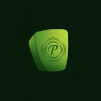 Festival Presidente 2026 GIF by Cerveza Presidente