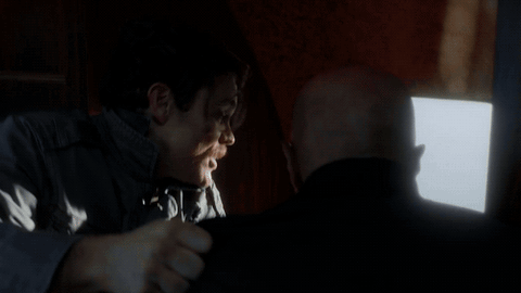 fox broadcasting riggs GIF by Fox TV