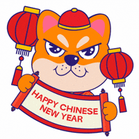 Dog Influencer GIF by KOL.ID