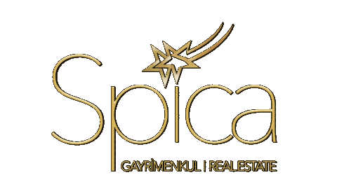 Spica Sticker by spicagayrimenkultr