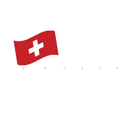Cheese Switzerland Sticker by tSocial