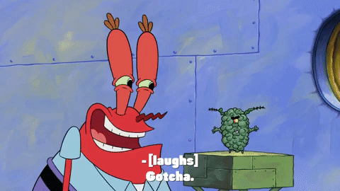 episode 7 plankton retires GIF by SpongeBob SquarePants
