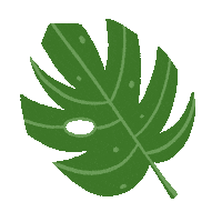 Leaf Plant Summer Sticker by Katie Thierjung / The Uncommon Place