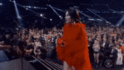 Grammy Awards 61St Grammys GIF by Recording Academy / GRAMMYs