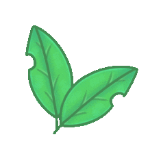 milanesanofake giphyupload green aesthetic tropical Sticker