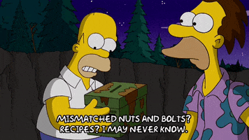 homer simpson episode 10 GIF