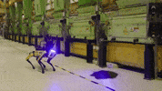GIF by BostonDynamics