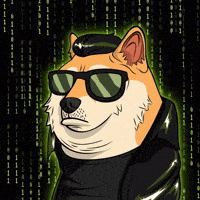 Cool Dog Neo GIF by Doge Pound