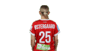 Celebration Handball Sticker by Dansk håndbold