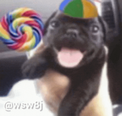 Dog Candy GIF