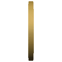 Club Blackgold Sticker by IN TRIP