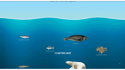 MrMerrillsClass giphyupload GIF