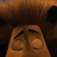 Мадагаскарстс GIF by tv_ctc