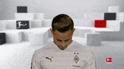 Line Up Smile GIF by Bundesliga
