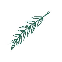 Листья Sticker