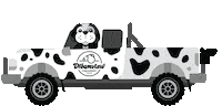 New Zealand Dog Sticker by Dreamview Farm