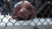 Jose Aldo Sport GIF by UFC