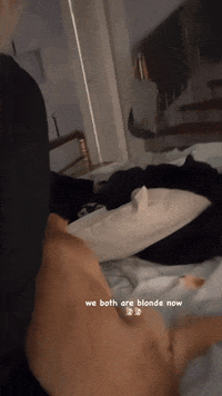 Cute Girl Dog GIF