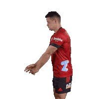 Footy Crusaders Sticker by CrusadersRugbyTeam