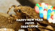 GIF by KQEDScience