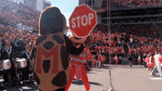 #gobucks GIF by Ohio State Athletics