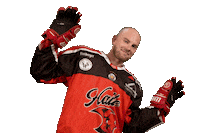 Happy Bald Head Sticker by Saale Bulls