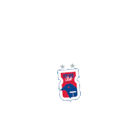 paranaclube gol parana valente parana clube Sticker