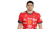rfebalonmano handball spain espana balonmano Sticker