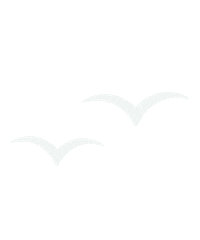 Sevcableport sea ice birds figure skating Sticker