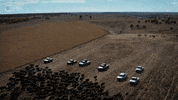 The Nature Conservancy Camera GIF by PBS Digital Studios