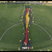 Fifa World Cup Celebration GIF by TRT