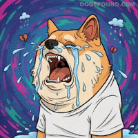 Sad Shiba Inu GIF by Doge Pound