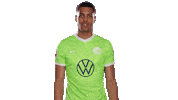 Football Hello Sticker by VfL Wolfsburg