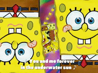 season 3 GIF by SpongeBob SquarePants