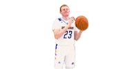 Basketball Toss Sticker by Delaware Blue Hens