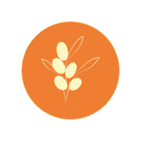 Kamelya Sticker