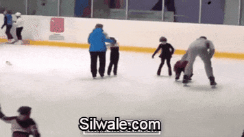 GIF by Silwale