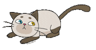 Neko Sticker by Plataforma Eleva
