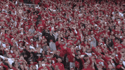 Wisconsin Badgers GIF by uwmadison