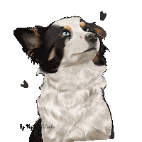Dog Chien Sticker