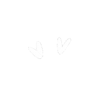 Heart White Sticker