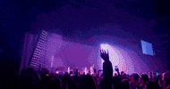 Reveal Gvf GIF by Greta Van Fleet
