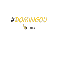 Academia Domingo Sticker by VL Fitness