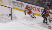 Happy Anaheim Ducks GIF by NHL