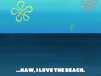 season 6 GIF by SpongeBob SquarePants