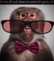 Glasses Smart Monkey GIF