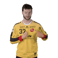 Handball Palla Sticker by MT Melsungen